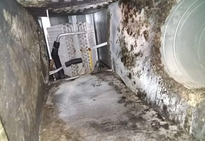 Top Signs Your Raleigh Home Needs Professional Duct Cleaning 4 air duct with mold and bad odor in Raleigh home