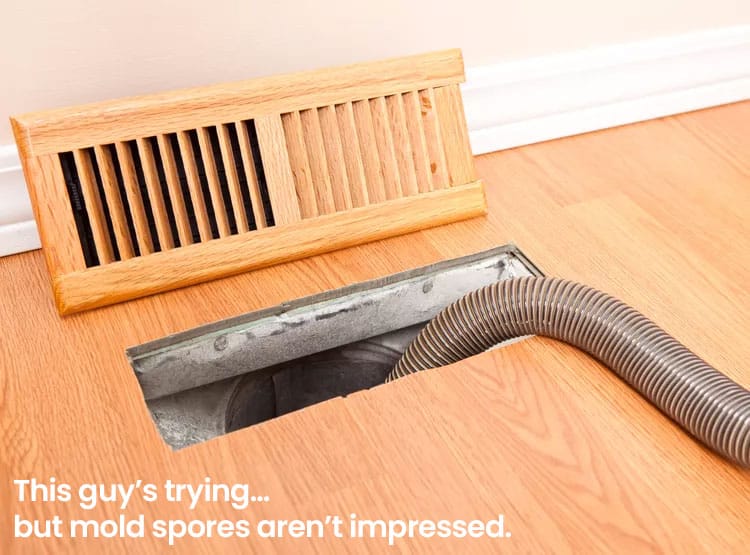 DIY vs. Professional Duct Cleaning in Raleigh: What's the Safer & Smarter Choice? 1 Homeowner in Raleigh using household vacuum for duct cleaning