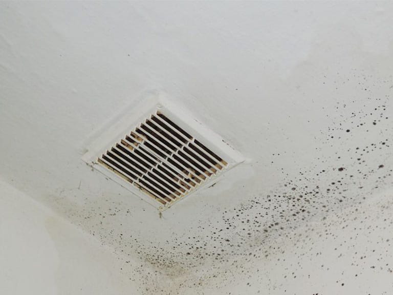 Commercial Duct Cleaning in Raleigh NC: Why It’s Essential for Your Business 4 Visible mold inside an air duct in a humid Raleigh commercial building