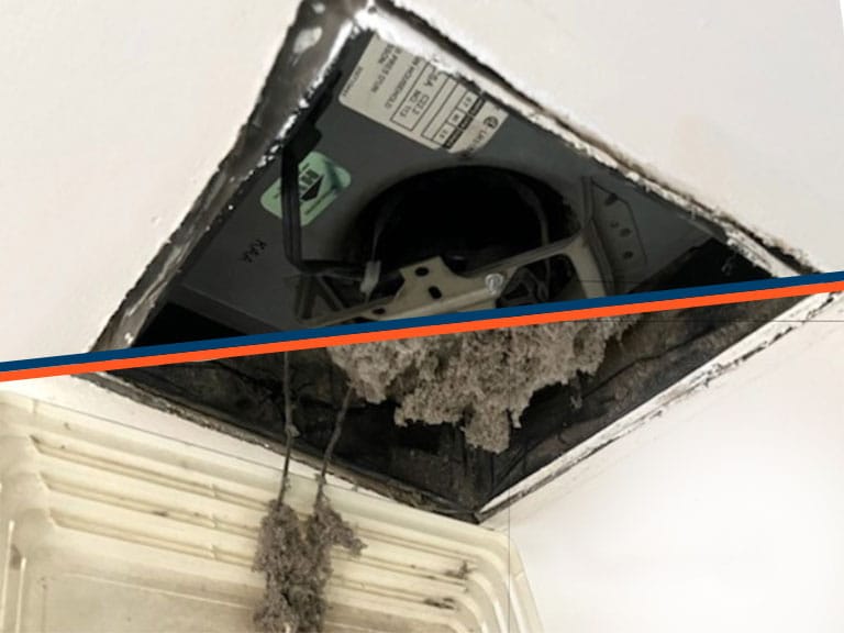 bathroom vent cleaning