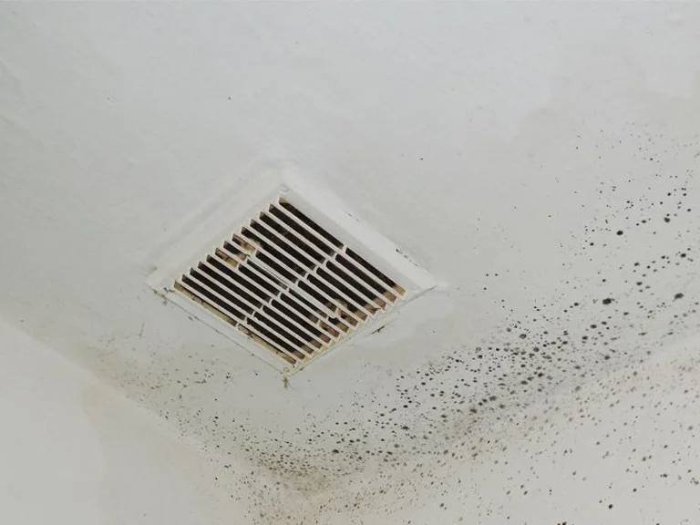 Mold growth on a ceiling HVAC vent in a Raleigh preschool classroom, showing the importance of professional duct cleaning
