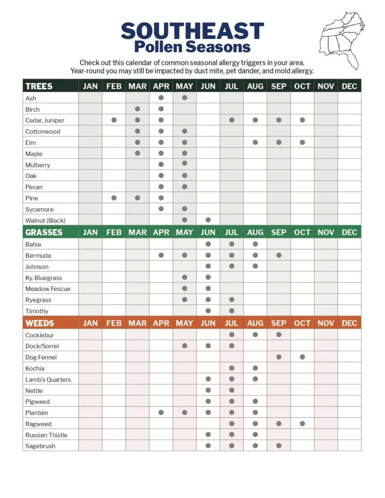 Raleigh NC allergy season chart showing pollen and mold peaks by month
