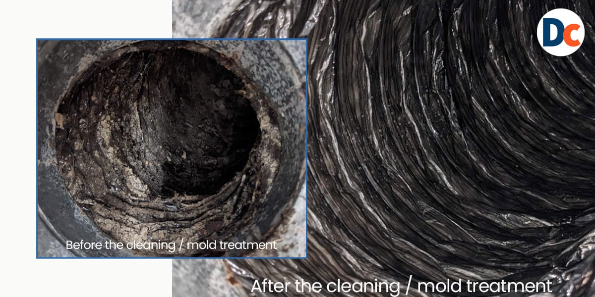 Before and after HVAC mold treatment and duct cleaning in Raleigh